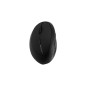 Kensington Pro Fit Ergo Wireless Mouse Trådløs Sort Kensington Pro Fit Ergo Wireless Mouse Trådløs Sort